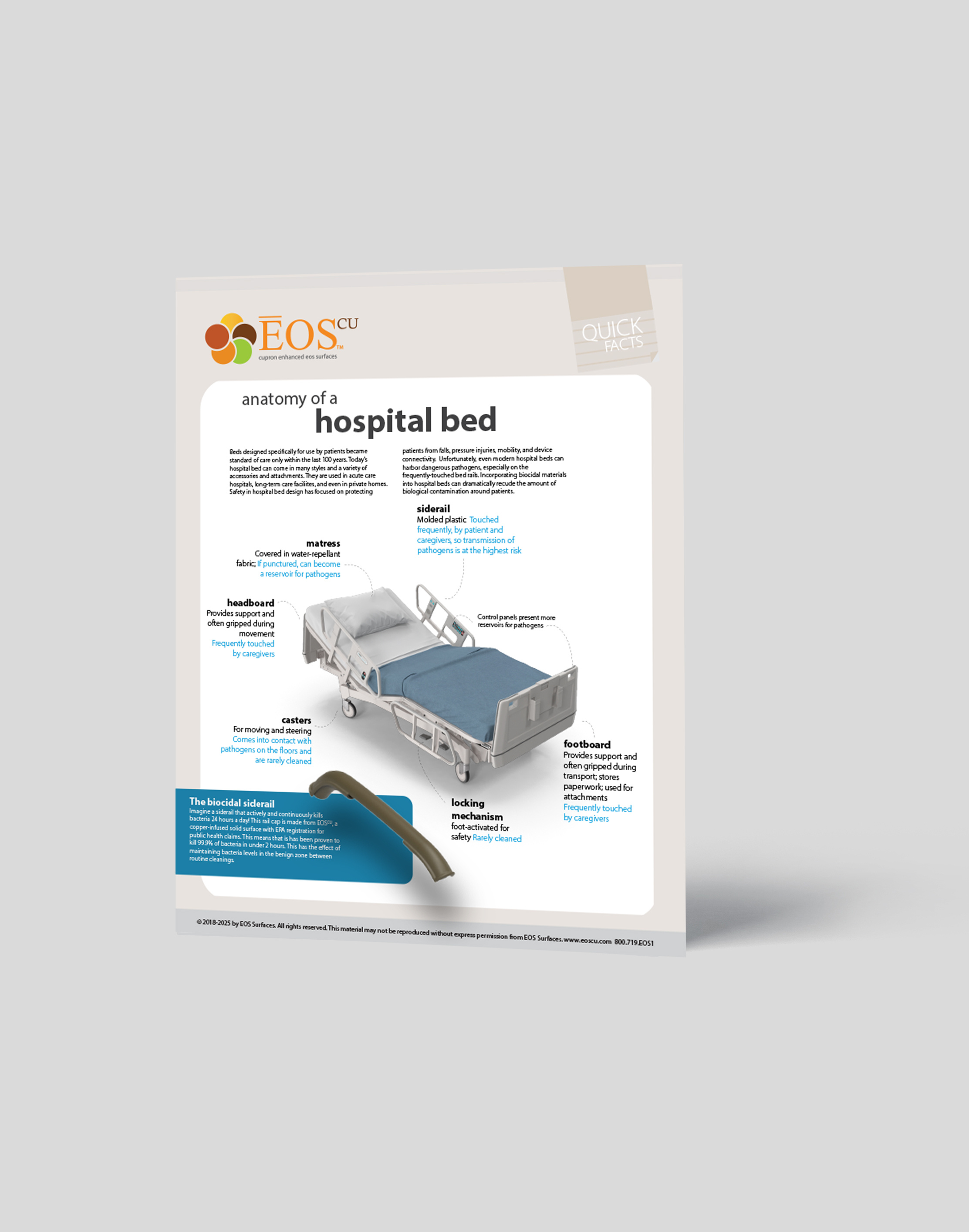 Infographic mockup ANATOMY BED
