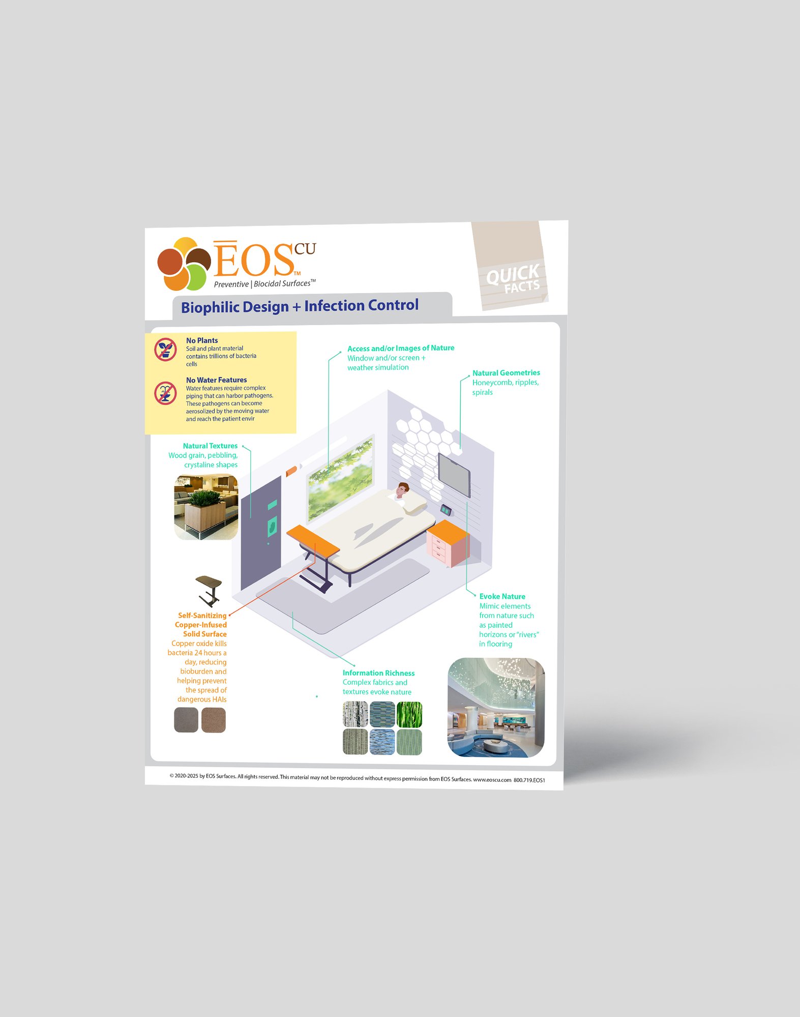 Infographic mockup BIOPHILLIC DESIGN