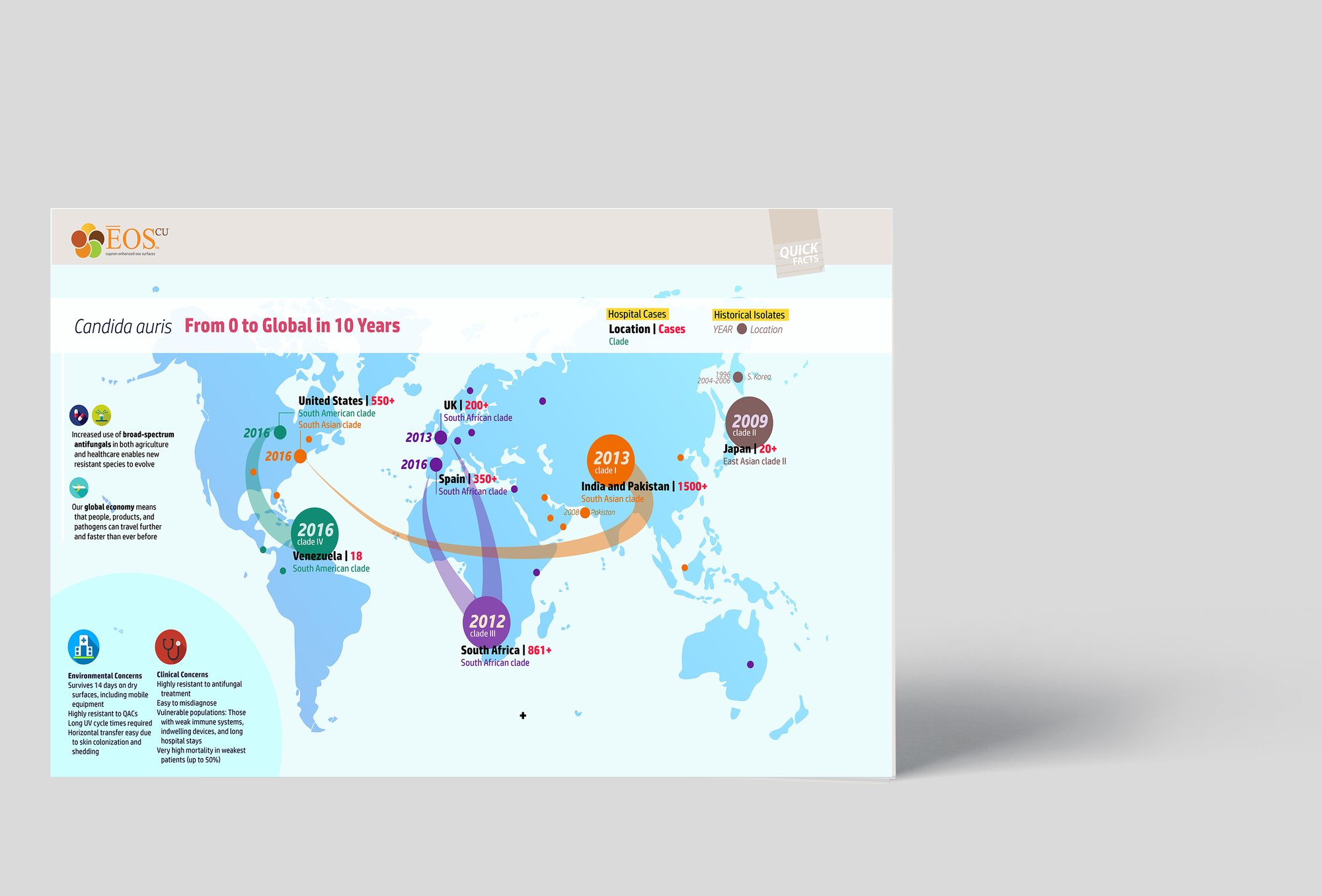 Infographic mockup C AURIS MAP
