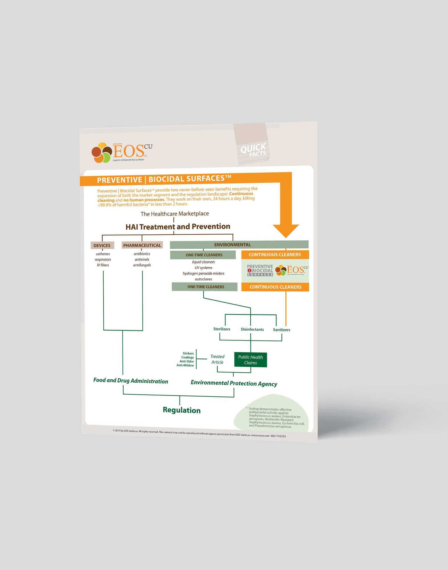 Infographic mockup MARKET SEGMENTATION