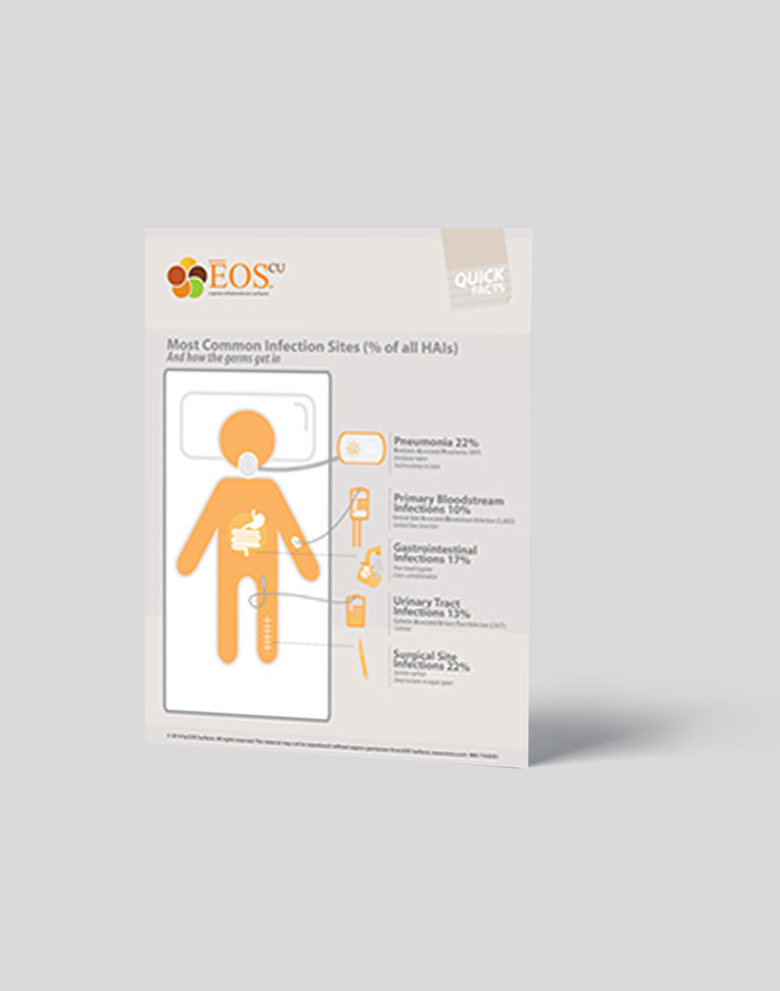 Infographic mockup SITES TYPES