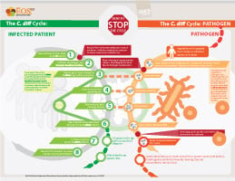 How_to_Stop_the_Cdiff_Cycle