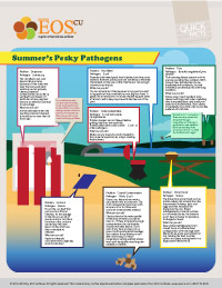 Summer Bacteria Risks